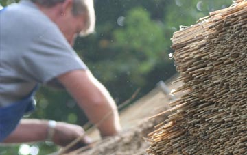 professional Hazards Green thatchers